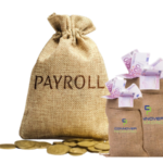 Protecting Your Assets: How Payroll Deposit Bags Can Prevent Theft and Fraud