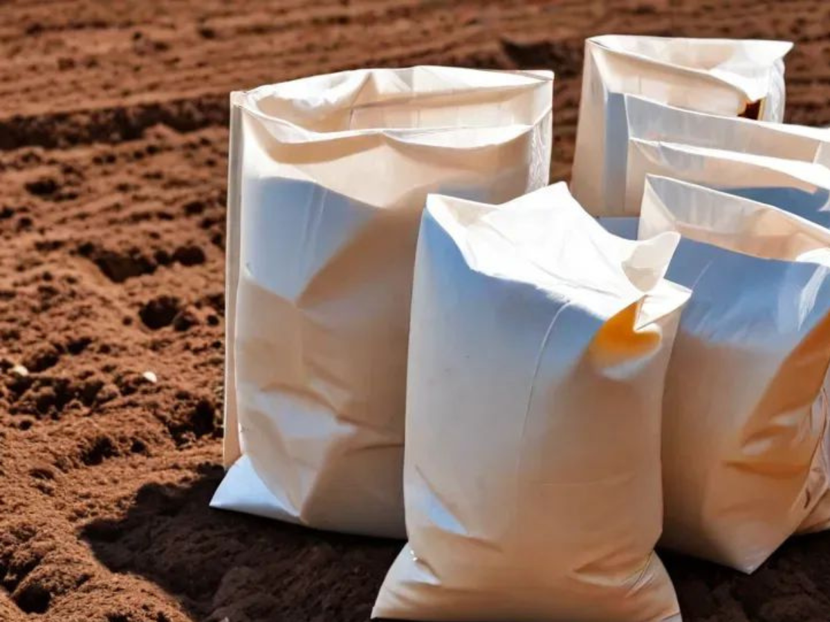 Choosing Sustainability: Biodegradable Bags for Soil